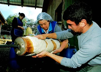 aquihaypescado-chiloe-20